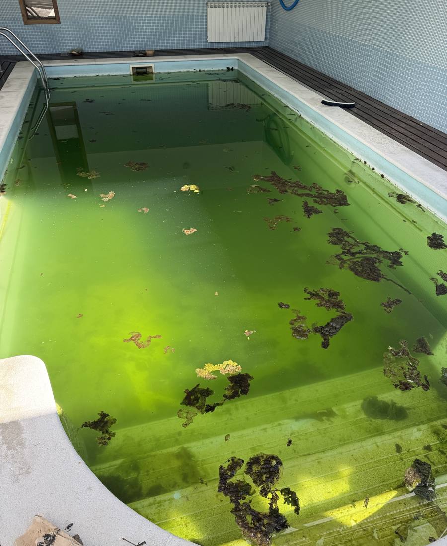 Piscina com a água completamente verde